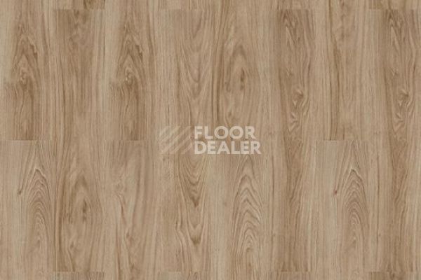 Плитка ПВХ Forbo Allura Decibel 8WAU03-3WAU03 honey authentic oak фото 1 | FLOORDEALER